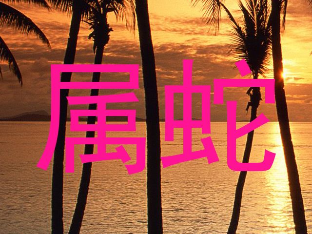 属蛇