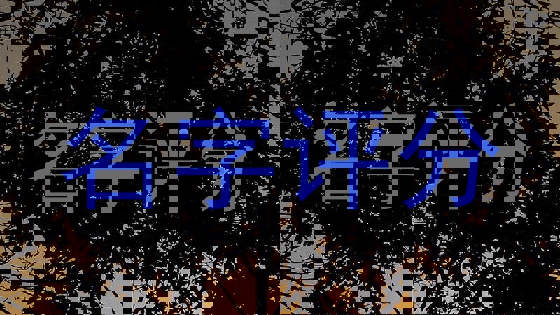 名字评分