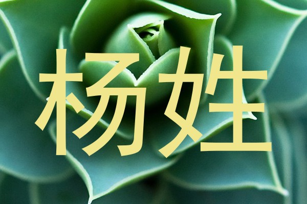 杨姓