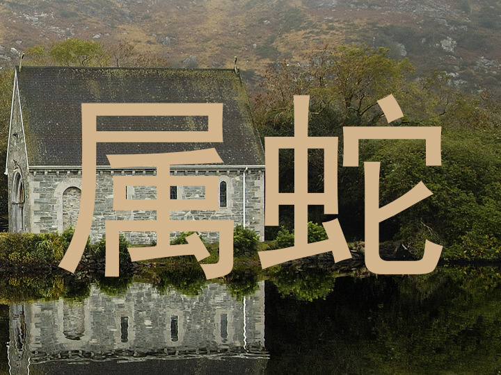 属蛇