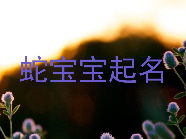属蛇