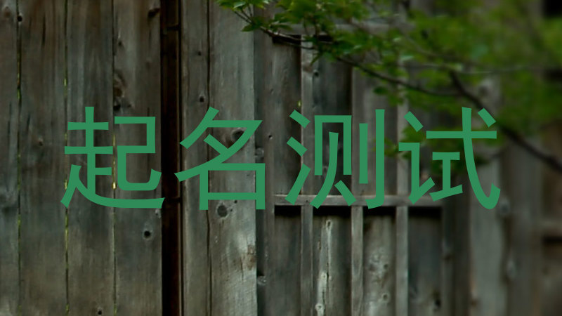 起名测试