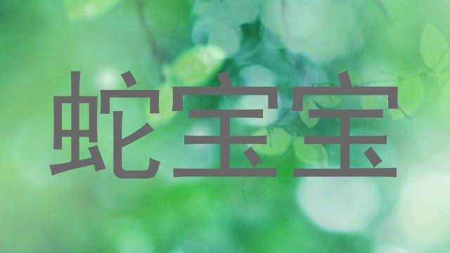 蛇宝宝