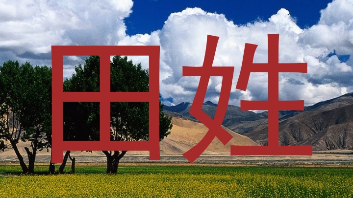 田姓