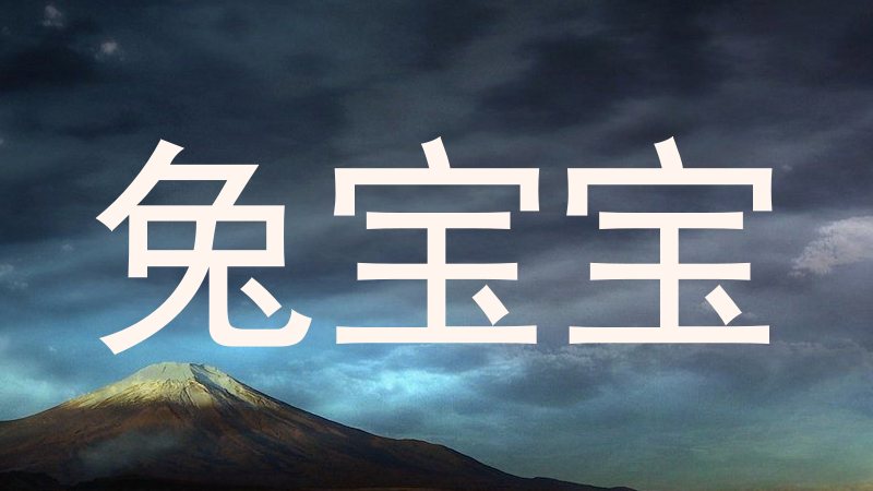 兔宝宝