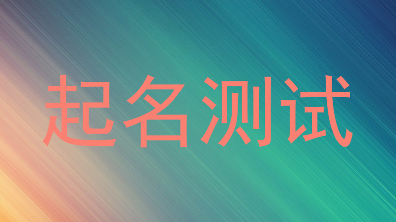 起名测试