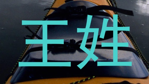 王姓