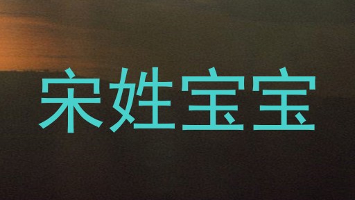 宋姓宝宝