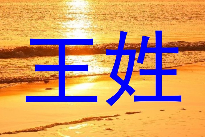 王姓