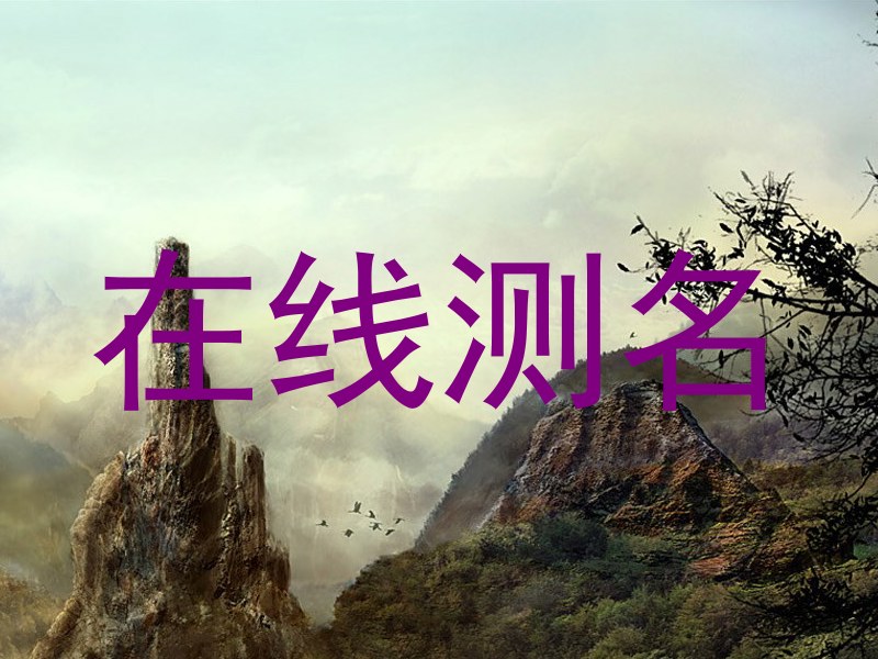 在线测名