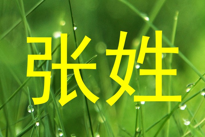 张姓
