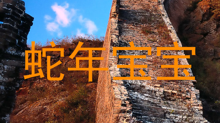 蛇年宝宝