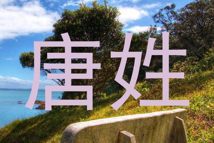 唐姓