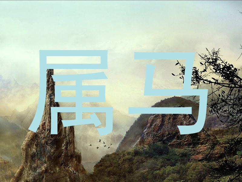 属马