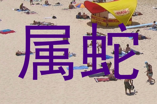 属蛇