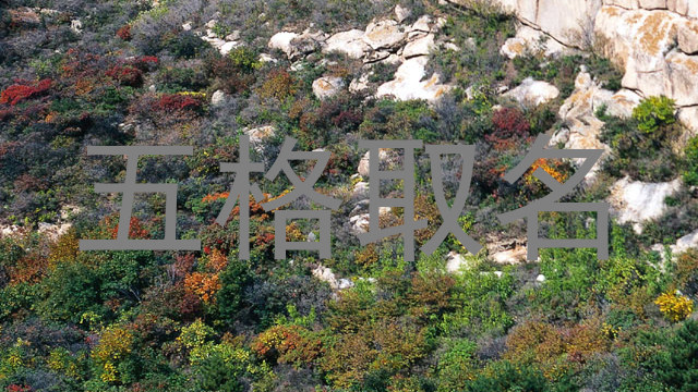 五格取名