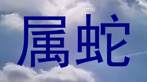 属蛇