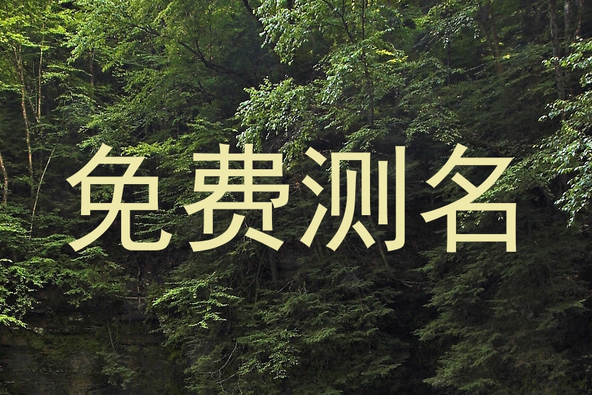 免费测名