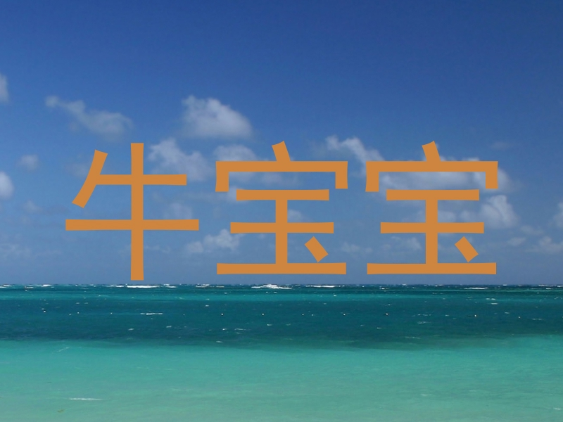 牛宝宝
