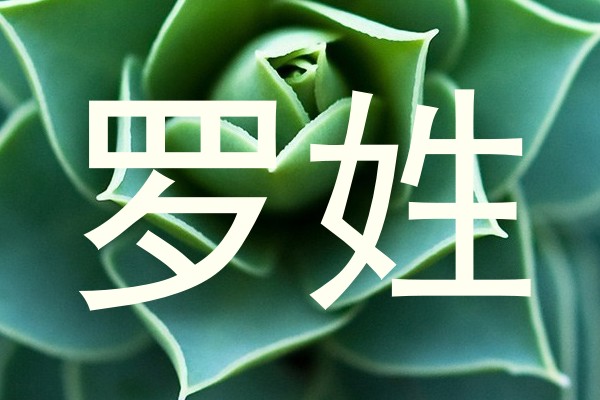 罗姓