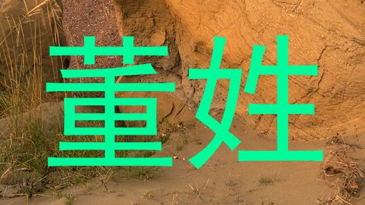 董姓