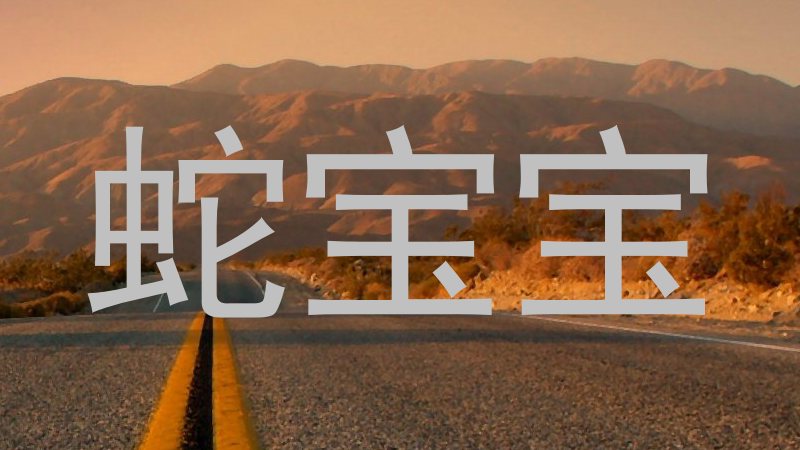 蛇宝宝