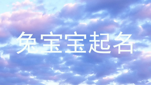 兔宝宝起名