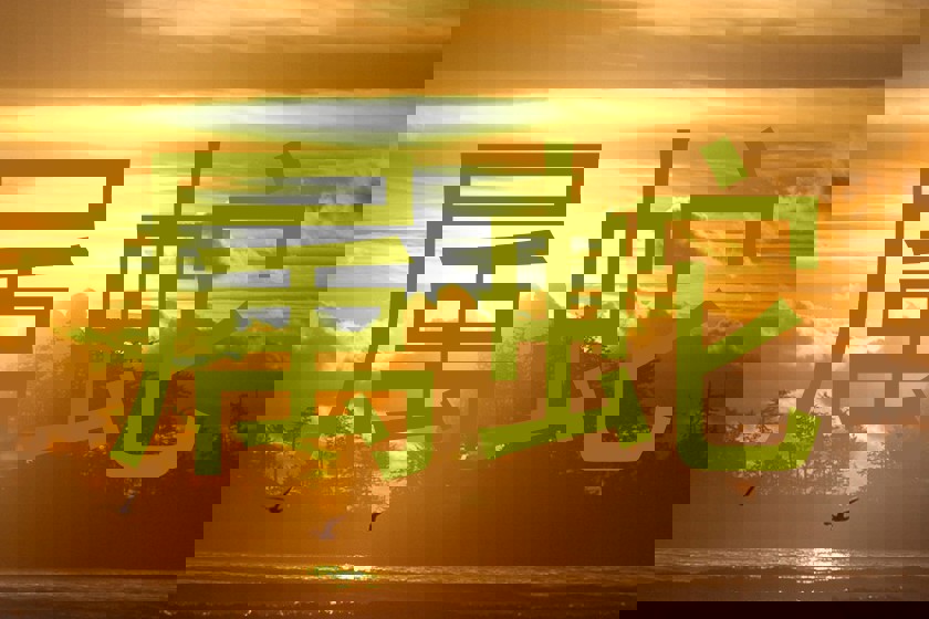 属蛇
