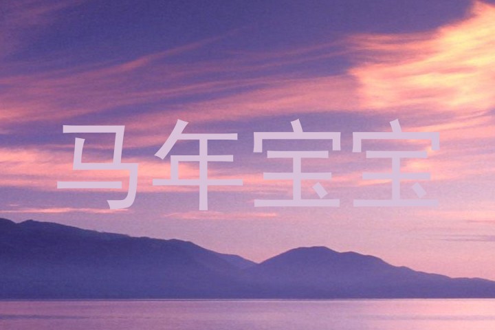 马年宝宝