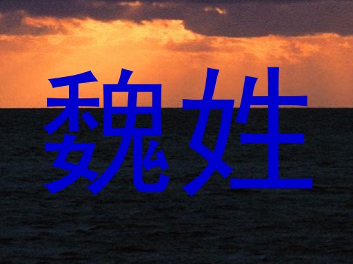 魏姓