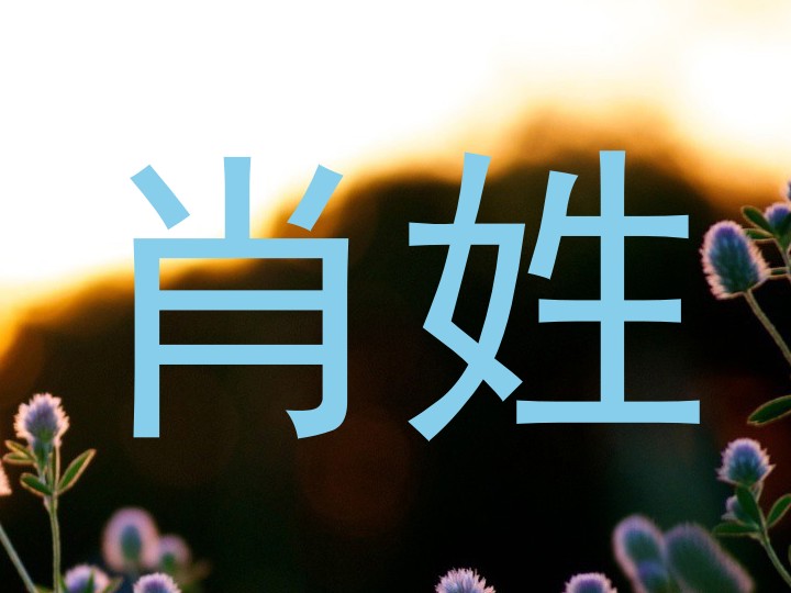 肖姓