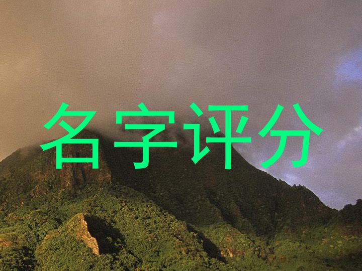 在线测名