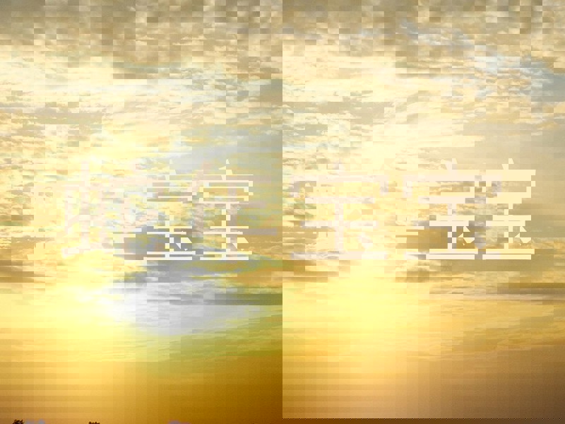 蛇年宝宝
