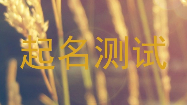 起名测试