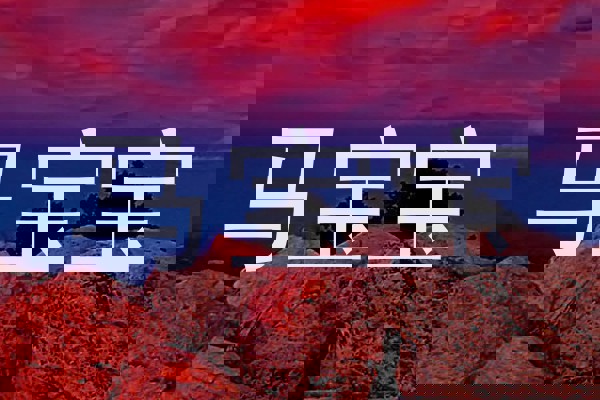 马宝宝