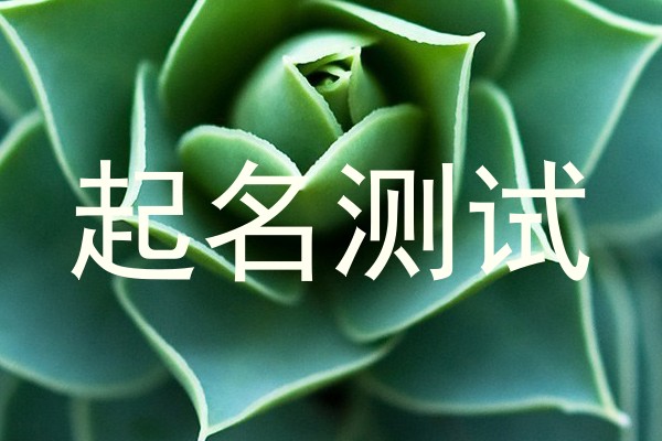 起名测试