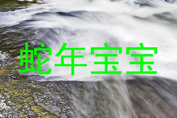 蛇年宝宝