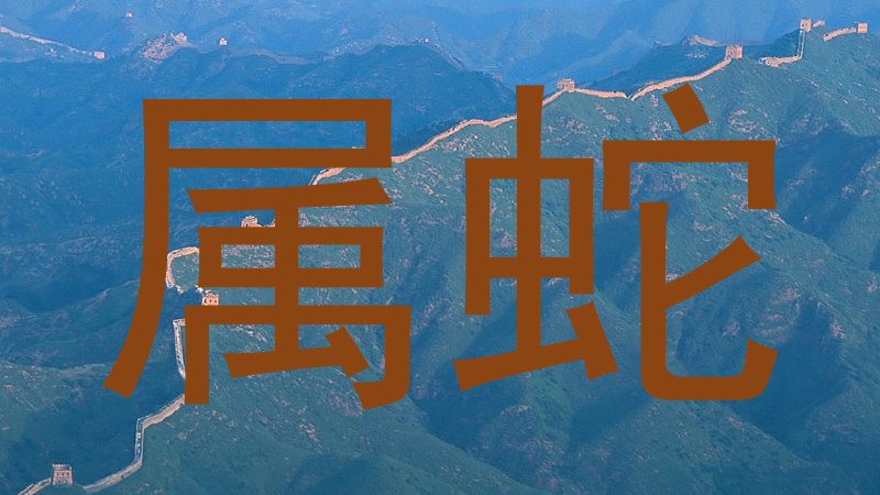 属蛇