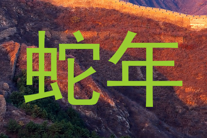 蛇年