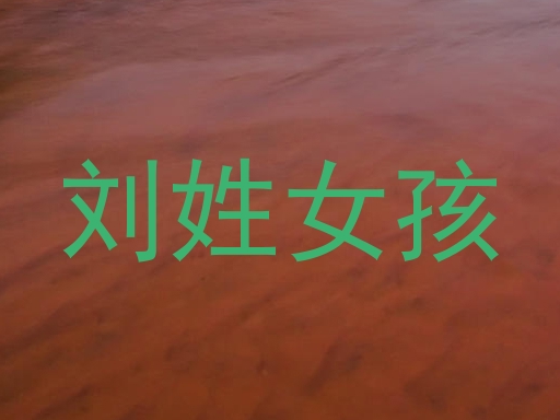 刘姓女孩