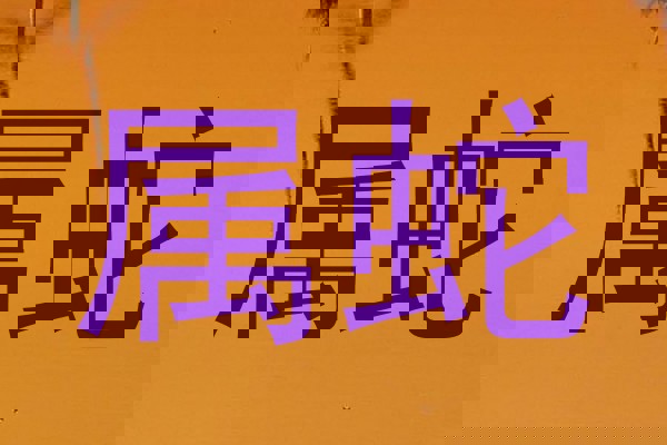 属蛇