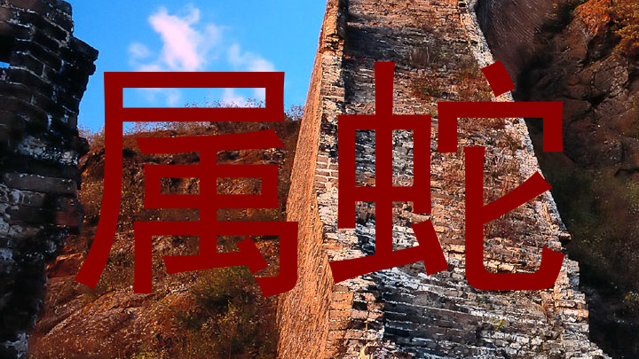 属蛇