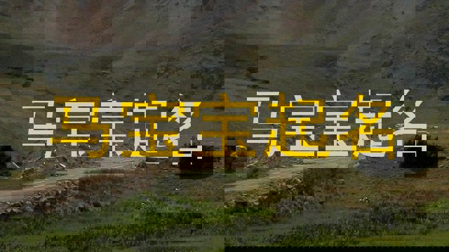 马宝宝
