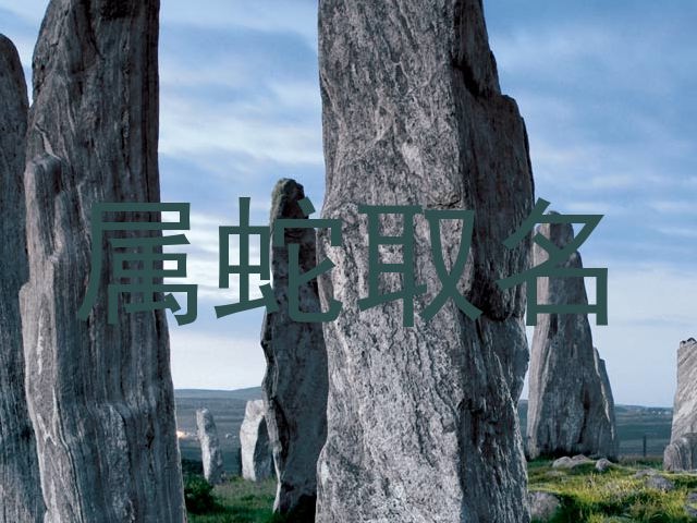 属蛇取名