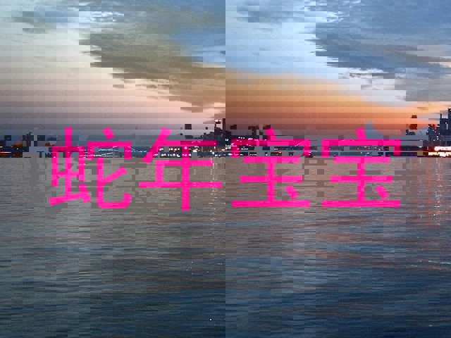 蛇年宝宝