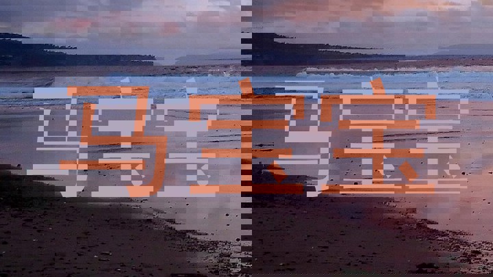 马宝宝