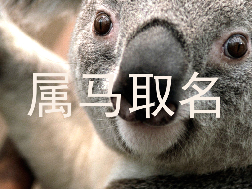属马取名