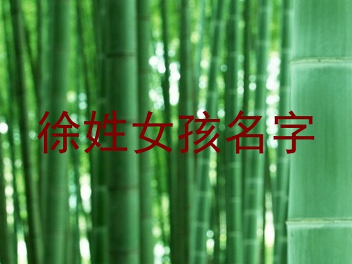 徐姓女孩名字