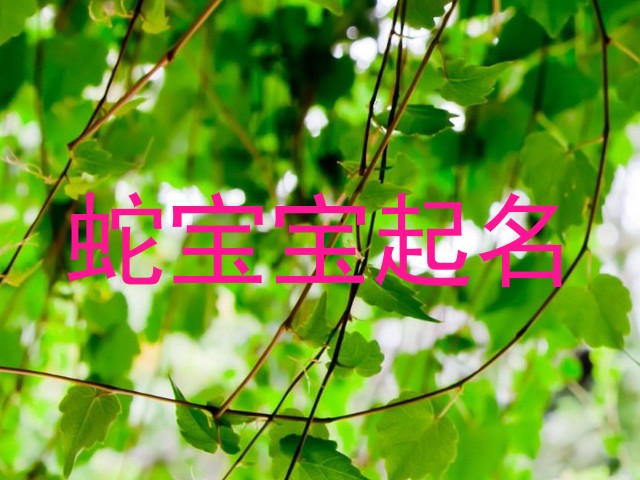 蛇宝宝起名