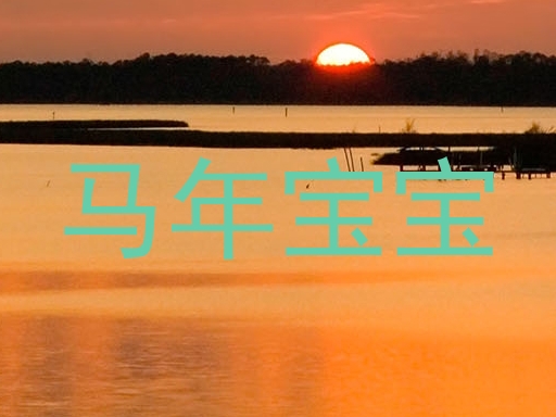 马年宝宝